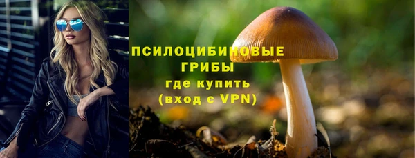 шишки Крымск